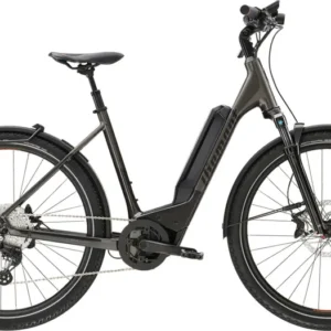 Vélo électrique DIAMANT 138 Wave 400Wh