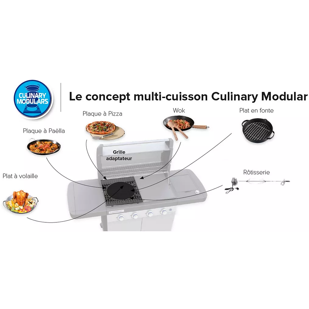 Barbecue gaz CAMPINGAZ 4 Series WLD