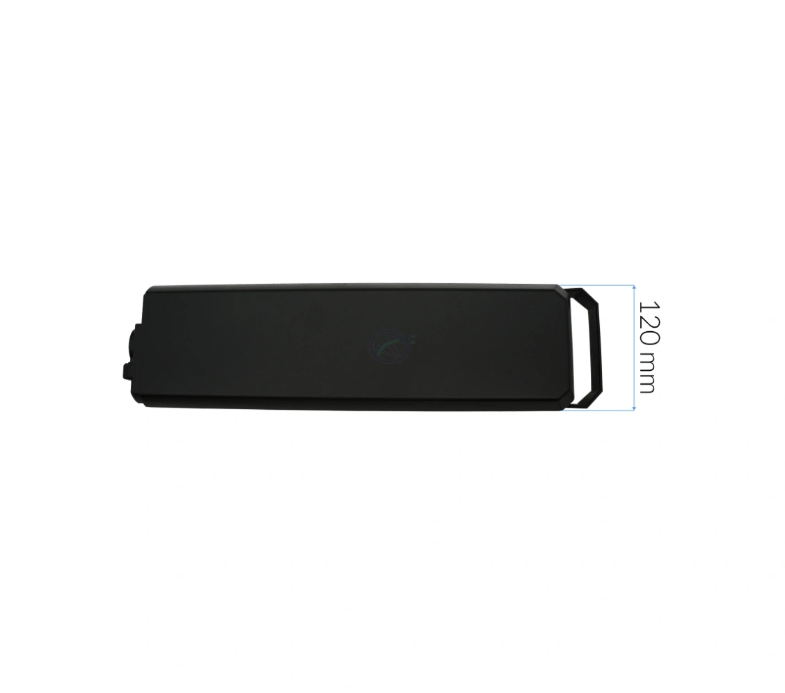 Batterie Bosch PowerPack 700 Performance Active par E-Bike Vision