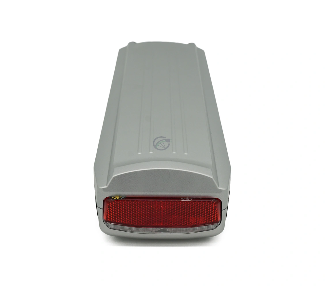 Batterie Gazelle Innergy Gold E-bike Vision