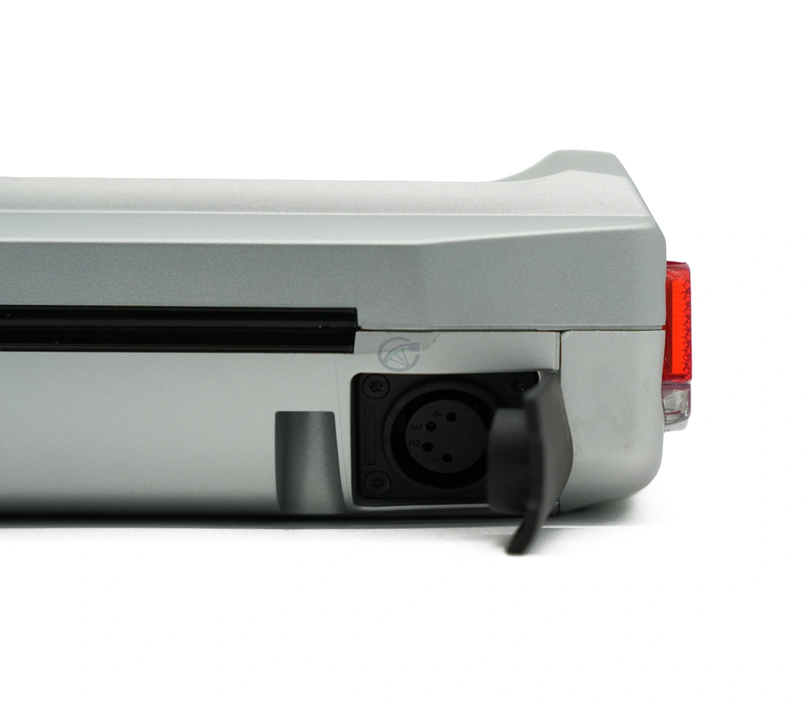 Batterie Gazelle Innergy Gold E-bike Vision