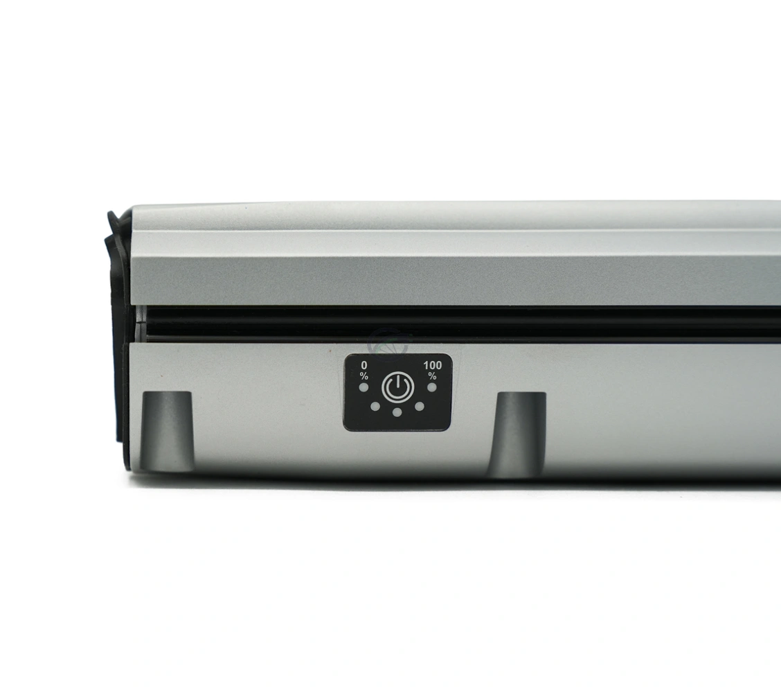 Batterie Gazelle Innergy Gold E-bike Vision