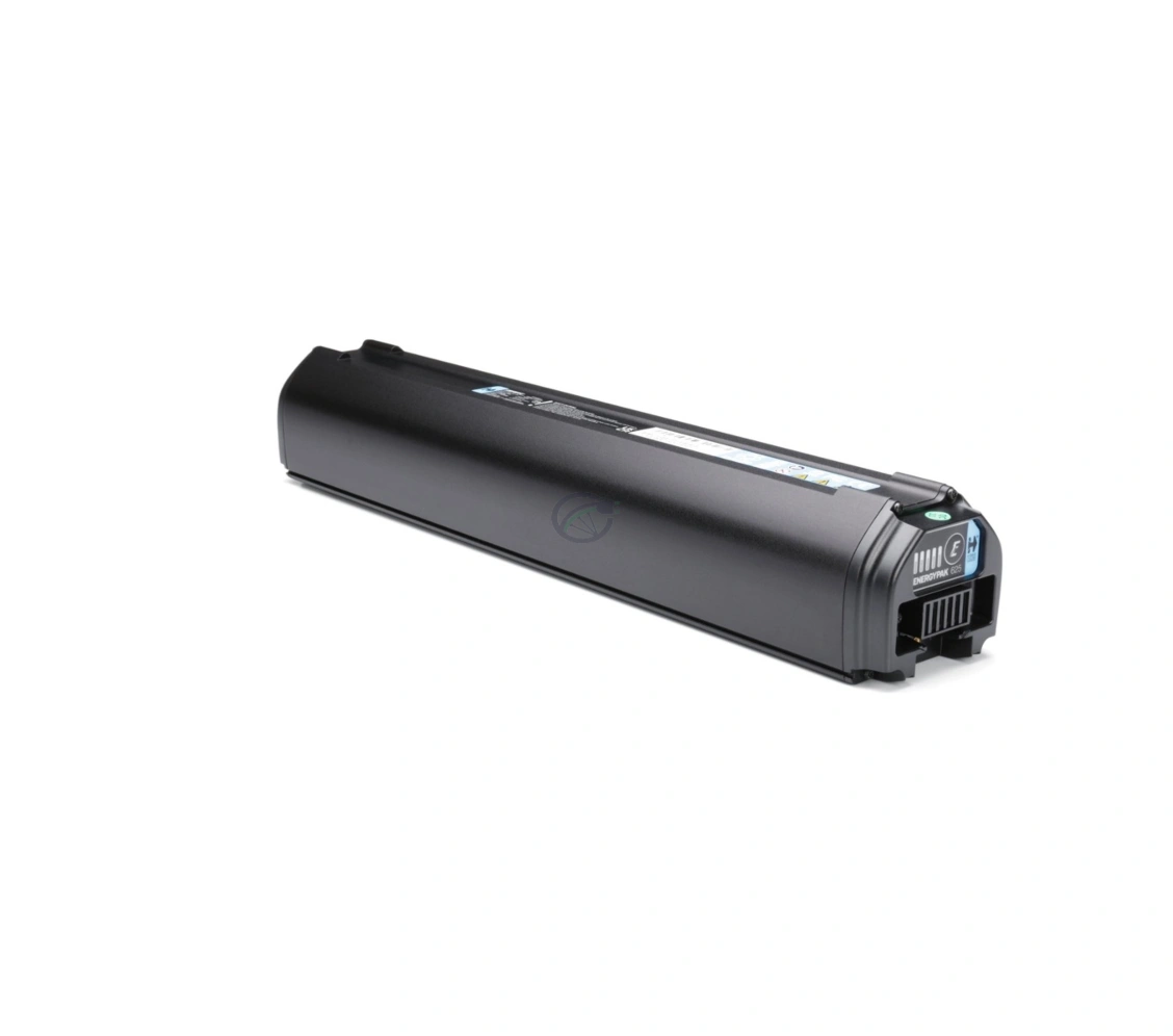 Batterie de vélo Giant Energypak 800