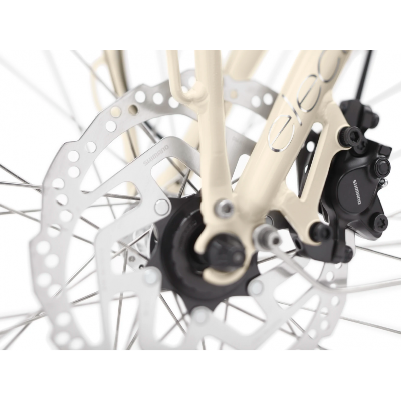 Vélo électrique Electra Townie Commute Go! 5I STEP-THRU