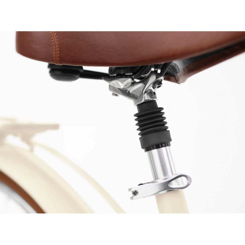 Vélo électrique Electra Townie Commute Go! 5I STEP-THRU