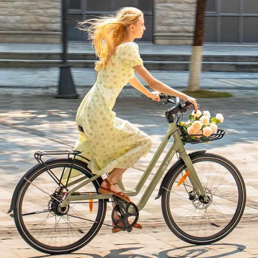 Fiido C700 Vélo Électrique Urbain
