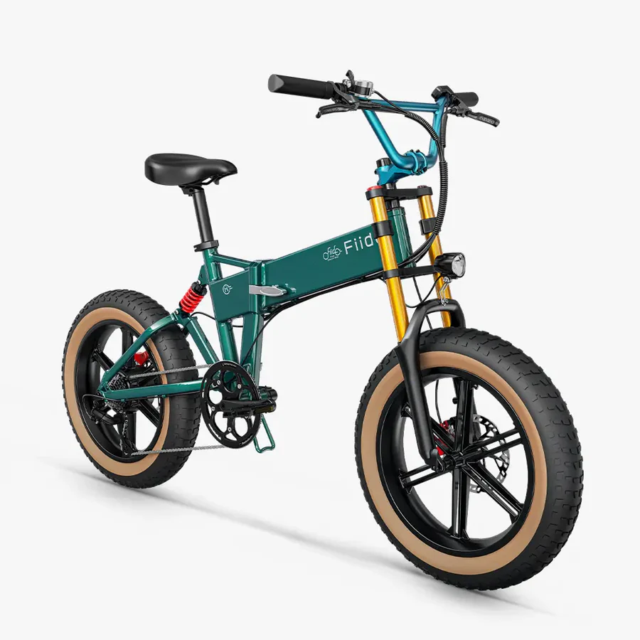Fiido M1 Pro Vélo électrique Vtt Fatbike Cargo De Gros Pneus