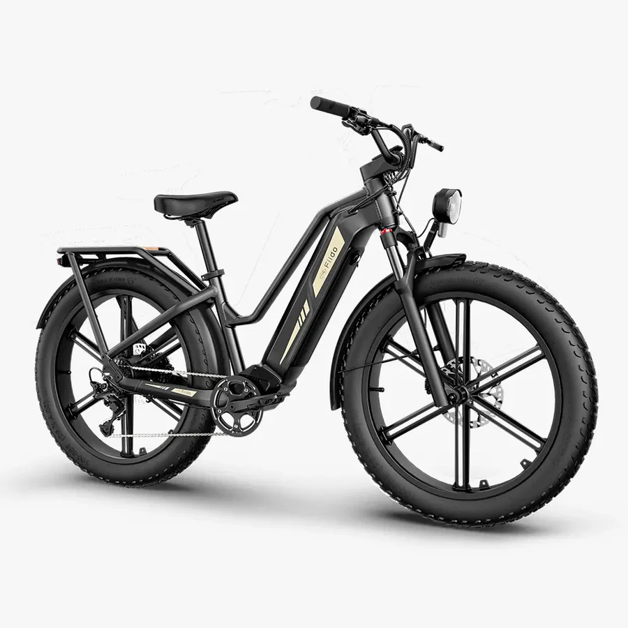 Fiido Titan Fat Tire Touring Vélo électrique