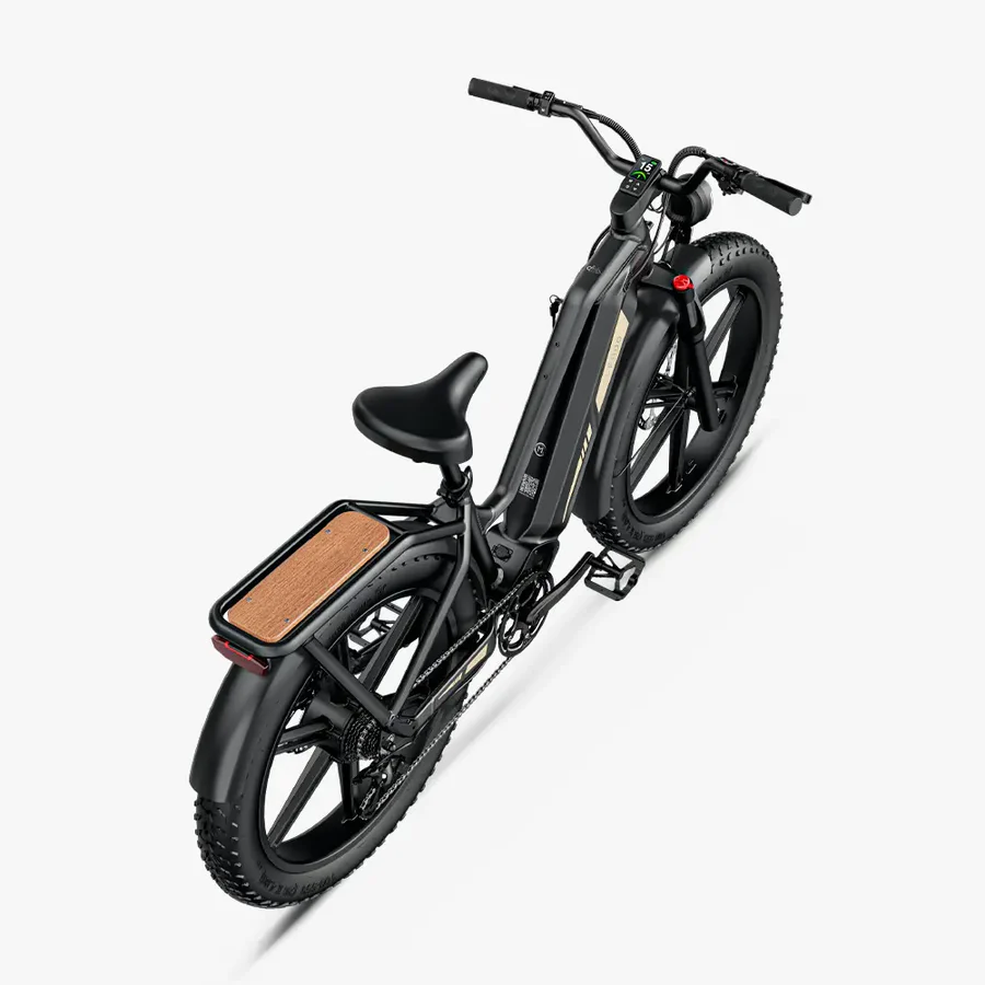Fiido Titan Fat Tire Touring Vélo électrique