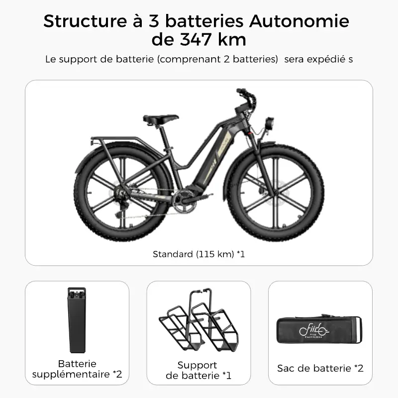 Fiido Titan Fat Tire Touring Vélo électrique