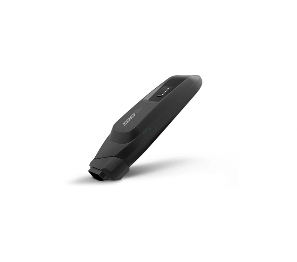 Flyer SIB 2.0 36V 20.1Ah batterie vélo électrique
