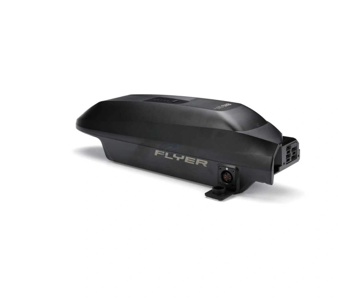 Flyer SIB 2.0 36V 20.1Ah batterie vélo électrique