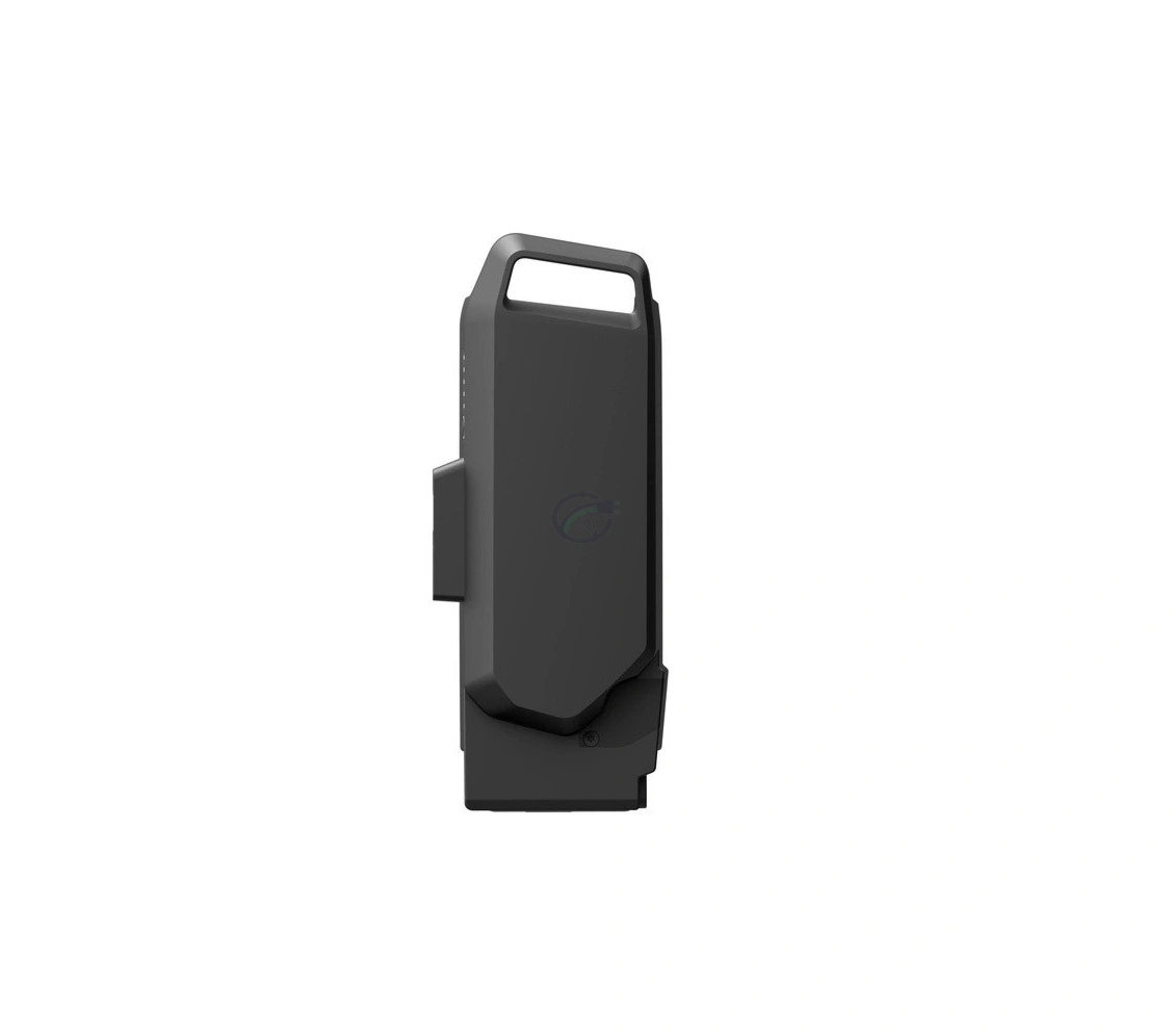 Flyer STB 750 20.1 Ah batterie