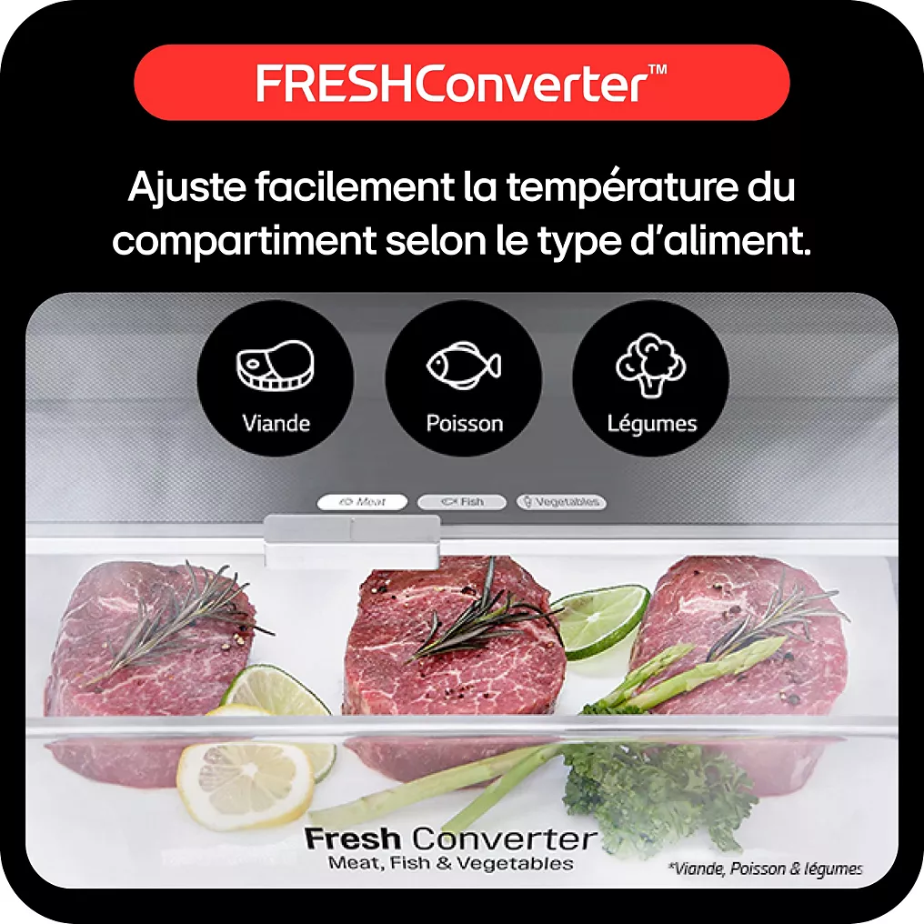 Réfrigérateur combiné LG GBV3110EPY