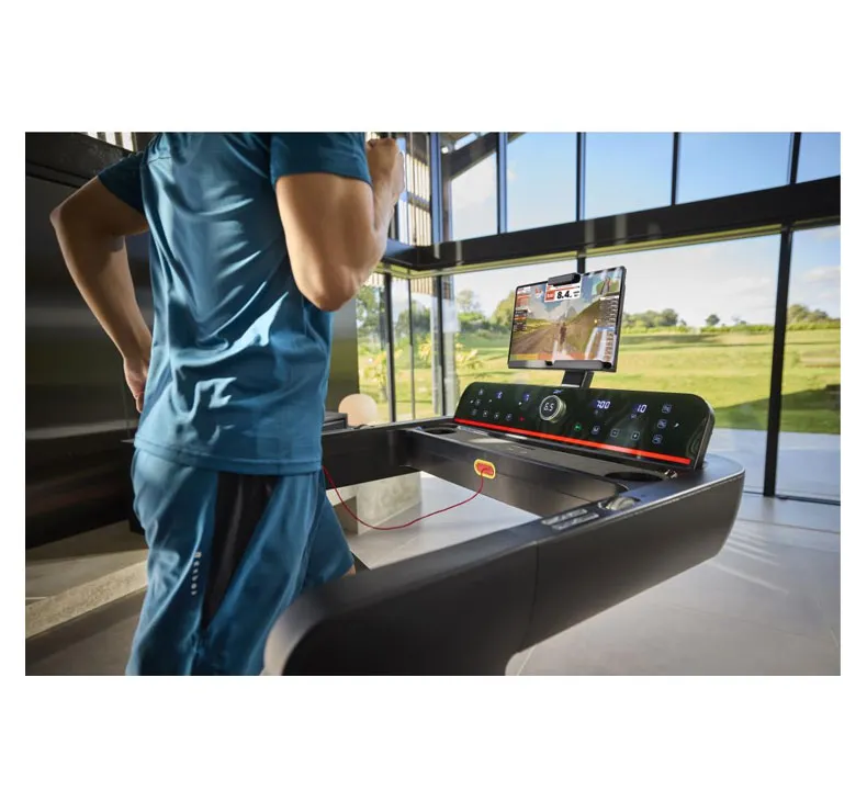 Tapis de Course Reebok Z-tech DC