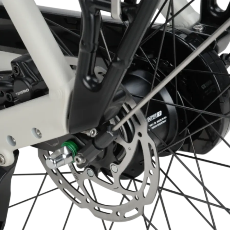 Vélo électrique Batavus Altura E-Go