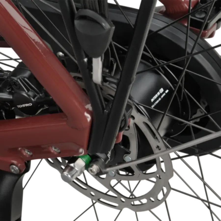 Vélo électrique Batavus Altura E-Go Power Pro