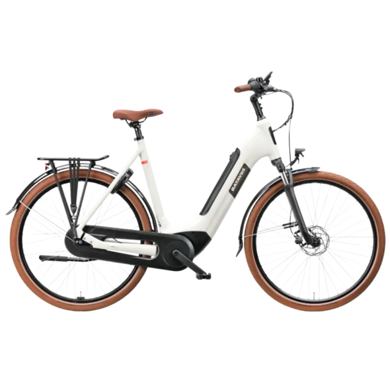 Vélo électrique Batavus Altura E-Go Power Pro