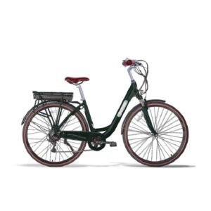 Vélo électrique Folio Brumaire