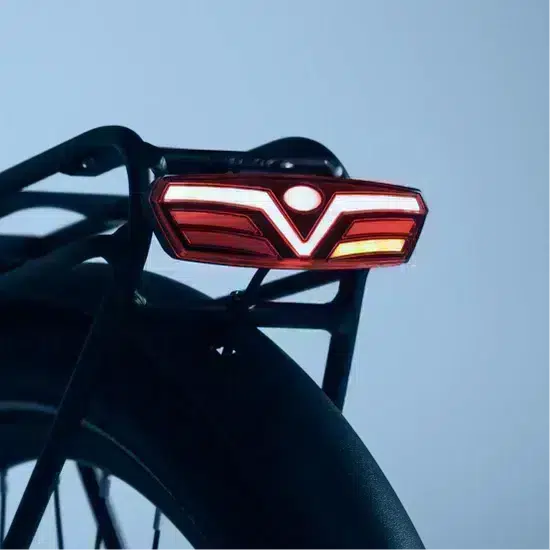 Vélo électrique Tenways CGO800S