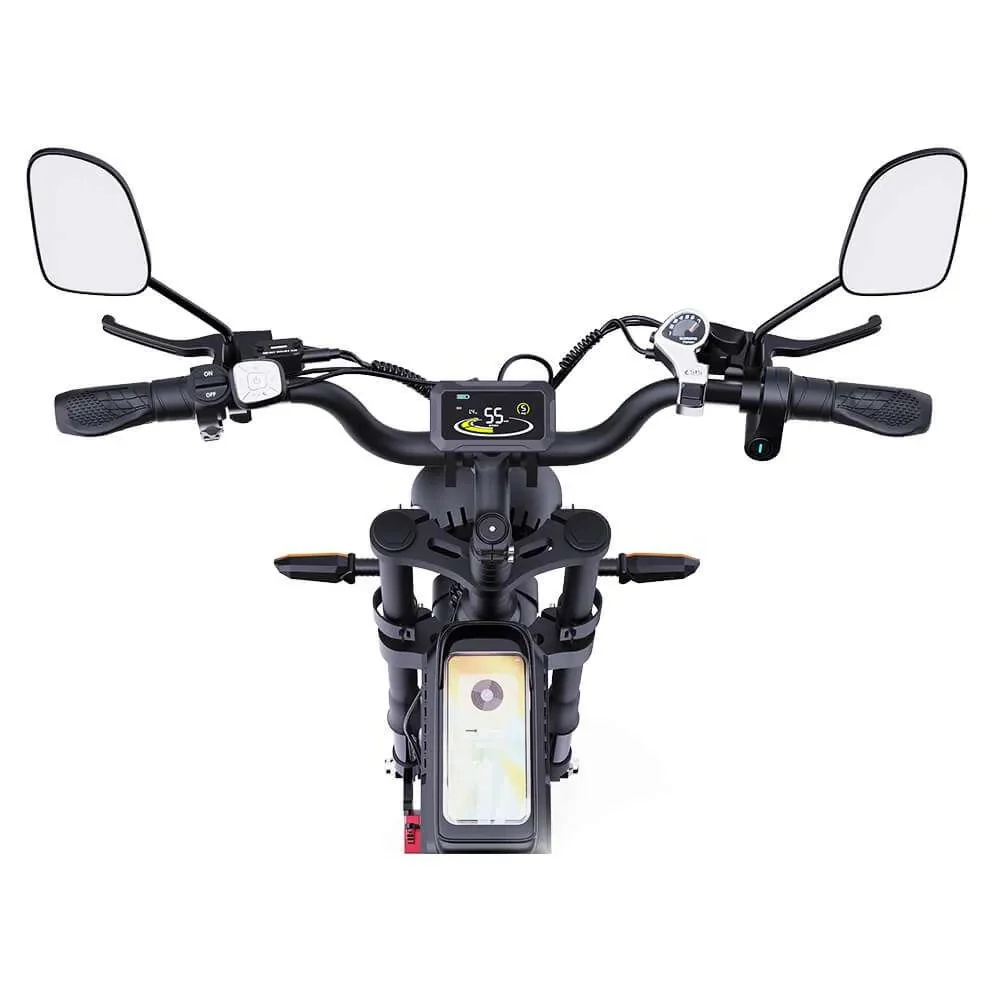 Vélo électrique YVY C20Pro 2000W à gros pneus à double moteur
