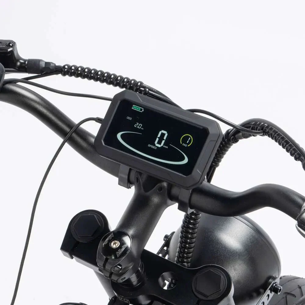 Vélo électrique YVY C20Pro 2000W à gros pneus à double moteur