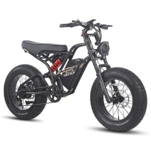 FAFREES F20 ULTRA 750W 20" Fat Bike E-Mountain Bike 48V 25Ah LG Batterie E-MTB