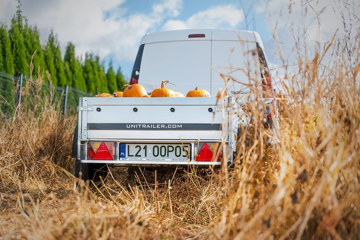 Petite remorque 150 x 106 cm Garden Trailer 150 KIPP Unitrailer