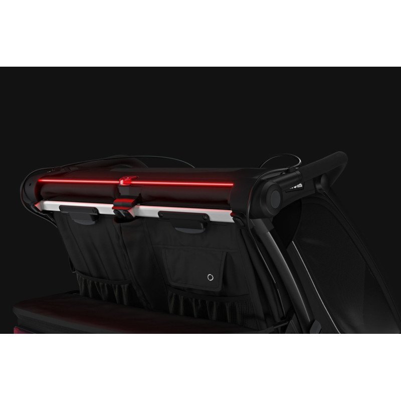 Remorque bébé vélo Thule pour 2 Enfants - Chariot Sport 2 Double - noir